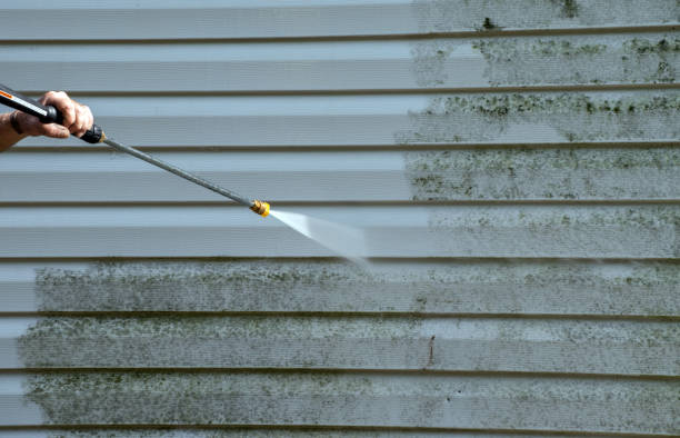 Professional Pressure Washing in Lady Lake, FL